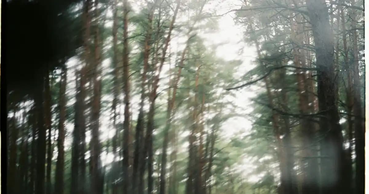 İstanbul'un En Etkileyici Pazarları ve Kültürel Zenginlikleri Keşfi