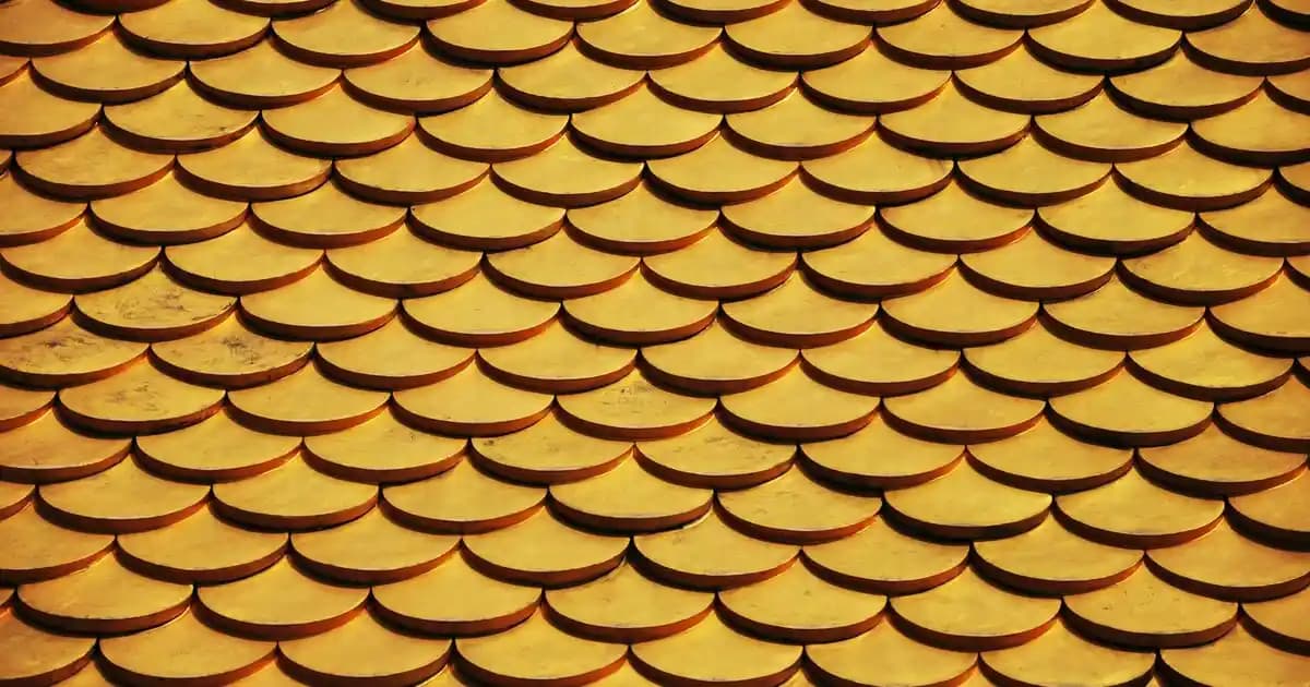 İstoç Petshop ile Geniş Ürün Seçenekleri ve Uygun Fiyatlarla Evcil Hayvanlarınızın İhtiyaçlarını Karşılayın