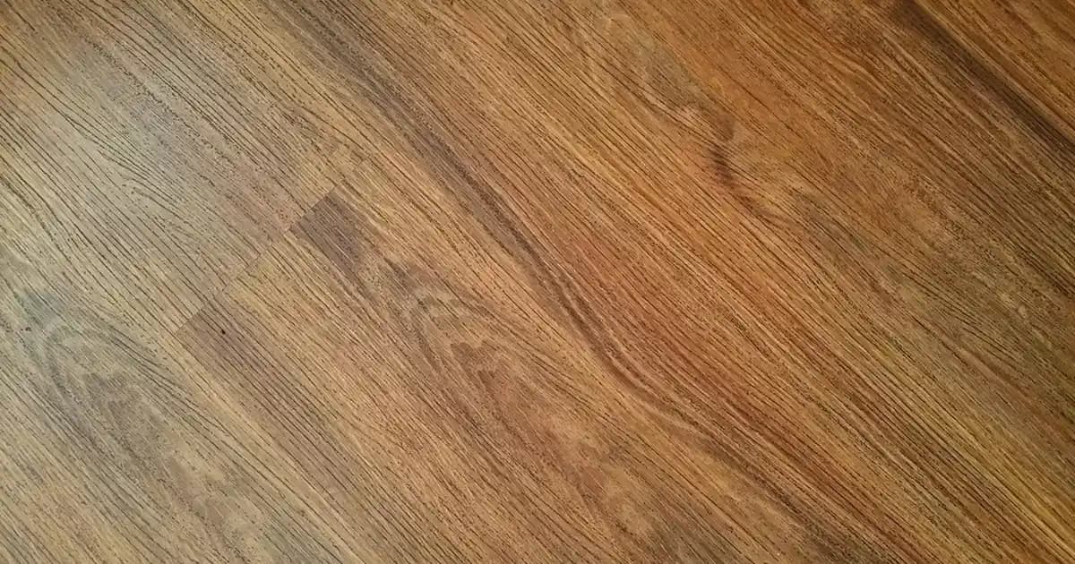 İzmir’de Ücretsiz Kamp Alanlarıyla Doğayla Uyum İçinde Ekonomik Tatil Seçenekleri