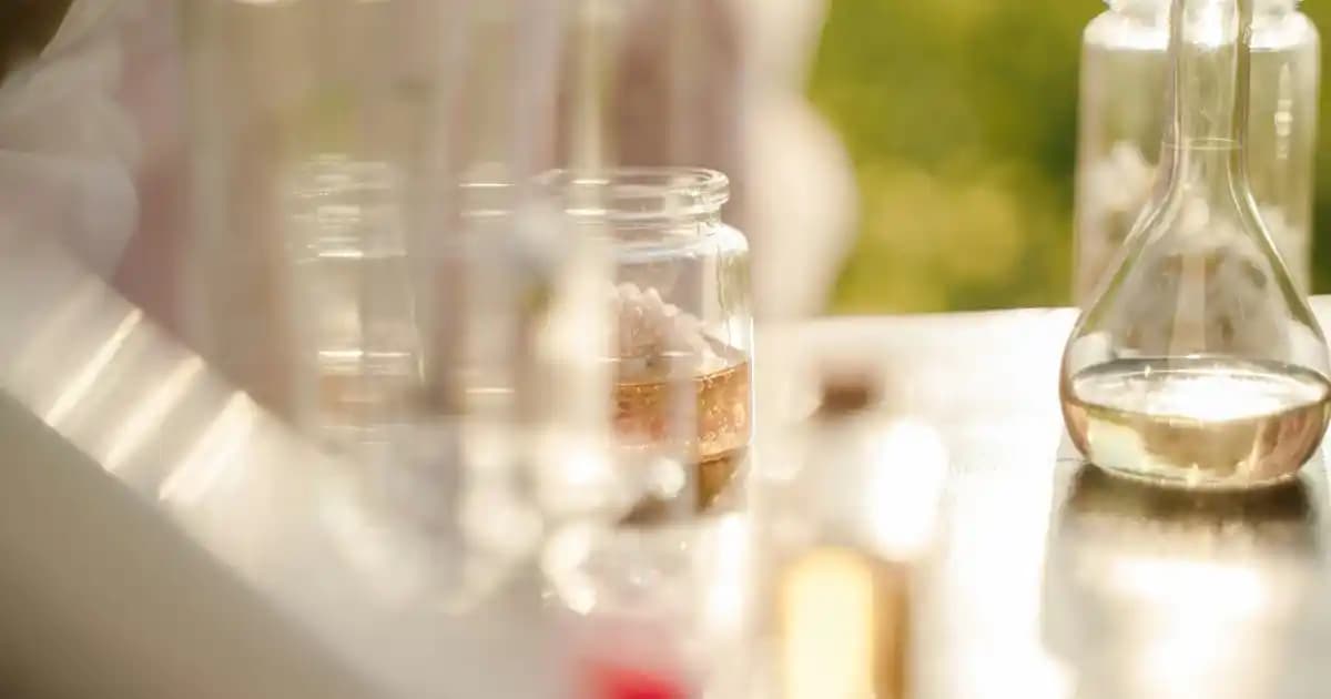 Japon Balığı Yemi Seçimi ve Sağlıklı Beslenme İpuçları