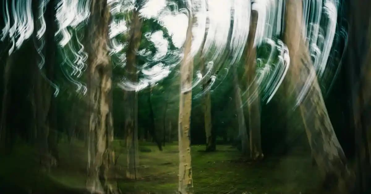 2025'te Kaburga Eti Fiyatlarında Şaşırtan Gerçekler ve En Uygun Seçenekler