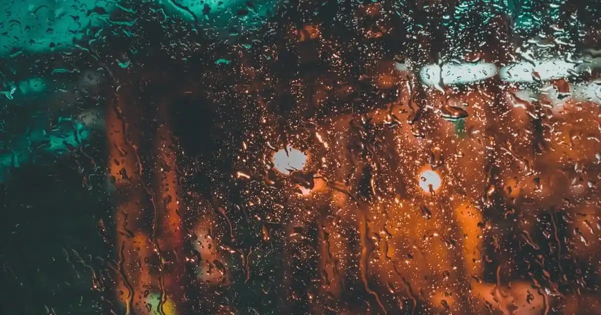 Kan Şekerini Düşürmek İçin Tarçın Kullanımı ve Faydaları