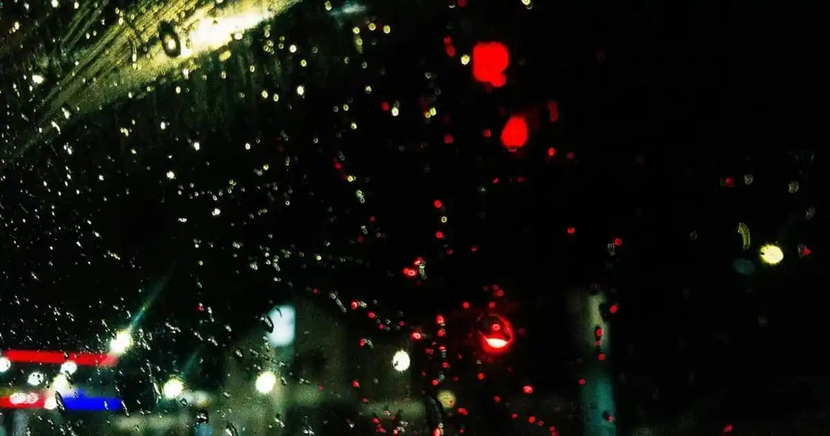 2025'te Karınca İstilasıyla Mücadelede Bilmeniz Gereken 7 Etkili Yöntem