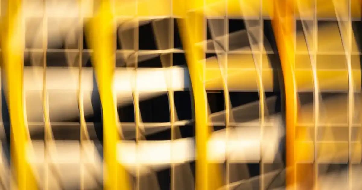 Karınca Yumurtası Yağı ile Tüy Azaltıcı Doğal Çözüm ve Kullanım İpuçları