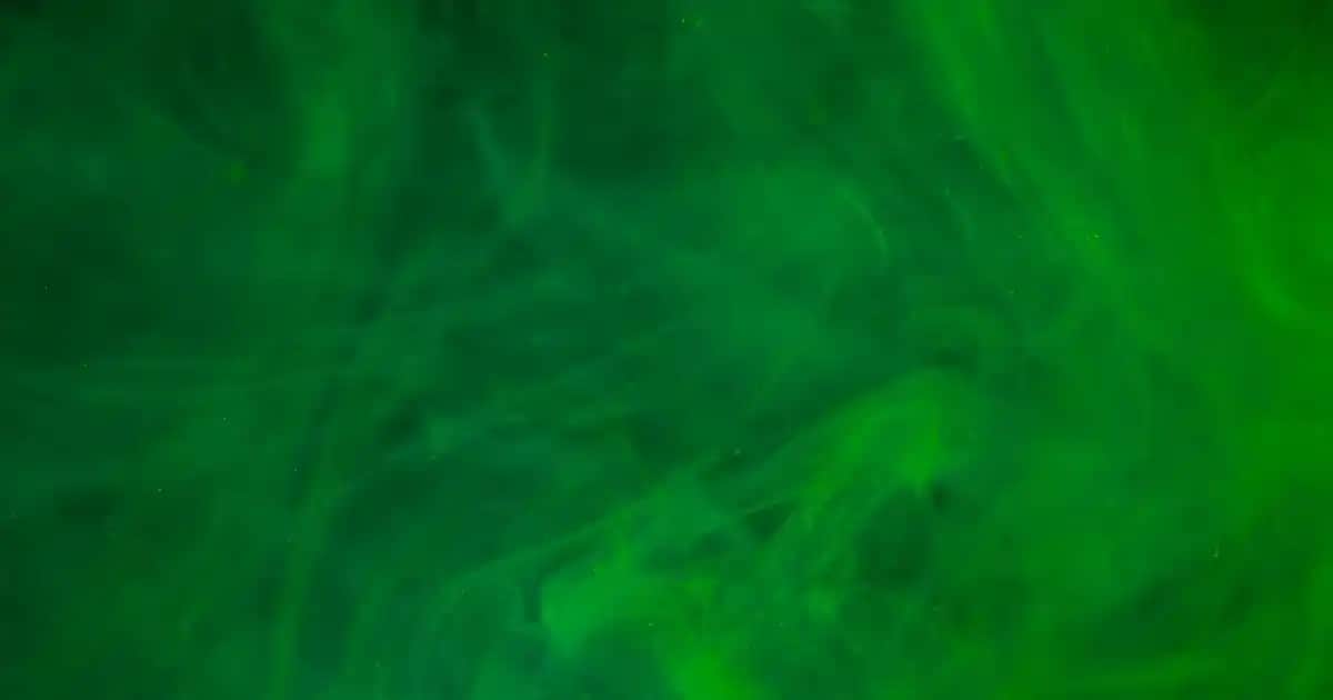 Kayseri'de Et Fiyatlarındaki Güncel Durum ve Piyasa Analizi