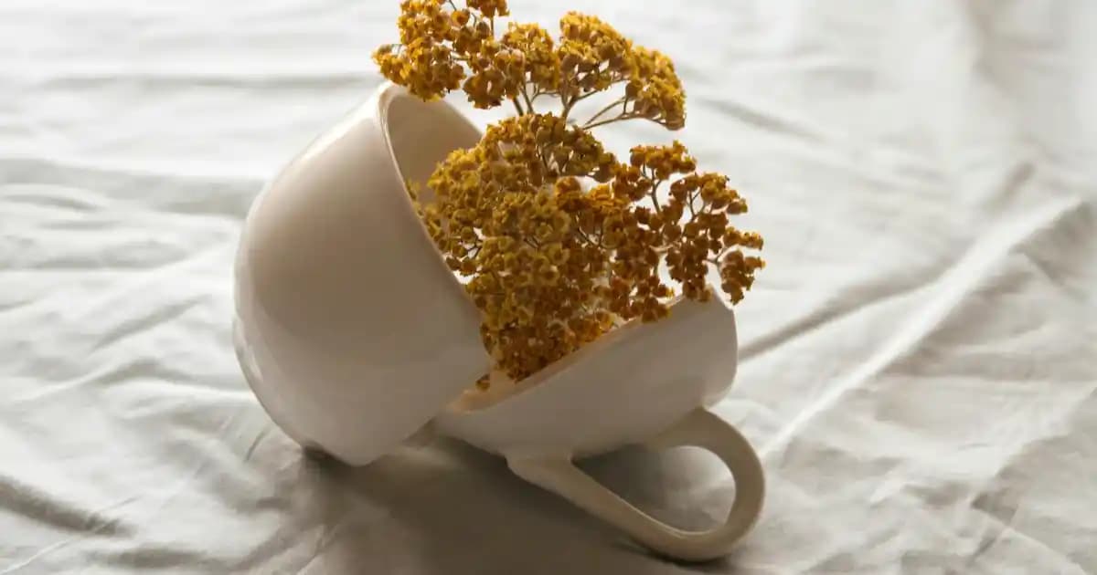 Kestel’de Migros Mağazaları: Konum, Hizmetler ve Alışveriş İpuçları