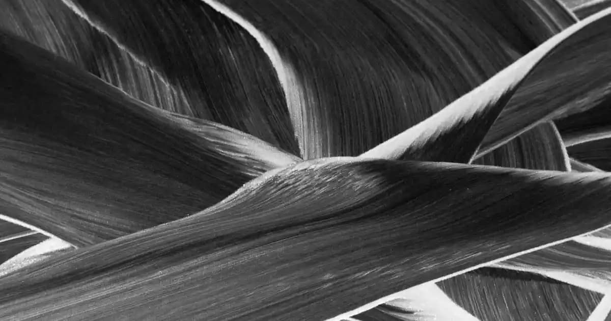 Köpük Sabunları ve Temizlikteki Önemi: Süpermarketlerde Çeşitler ve Kullanım İpuçları