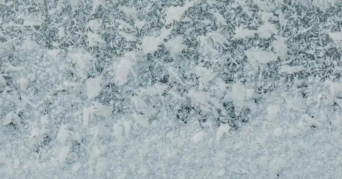 Körili Noodle Kalori ve Besin Değerleri: Sağlıklı Tüketim İpuçları