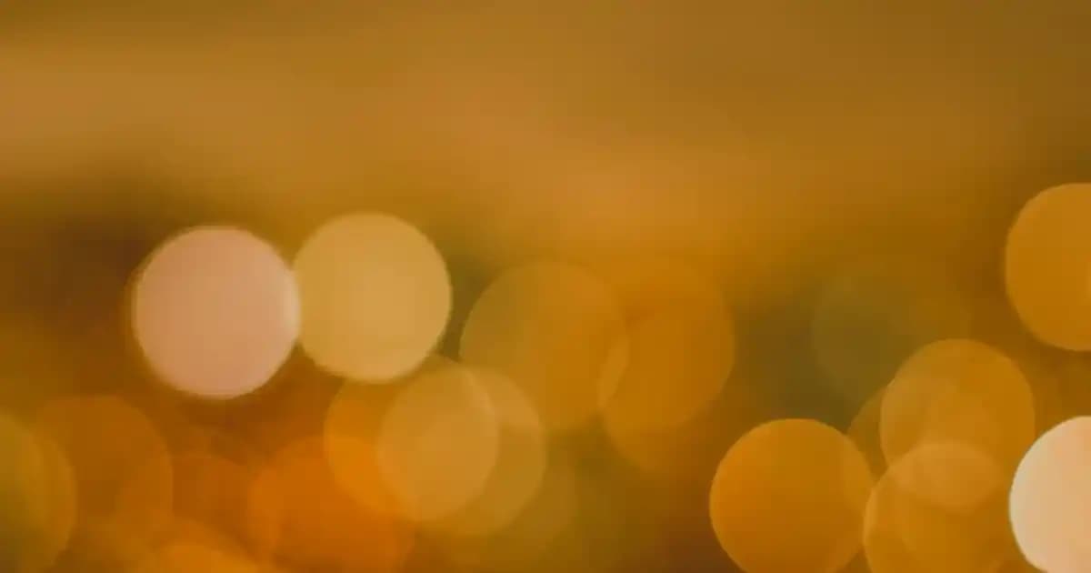 Koyun Fiyatları ve Piyasa Koşulları Güncel Bilgilerle Analizi