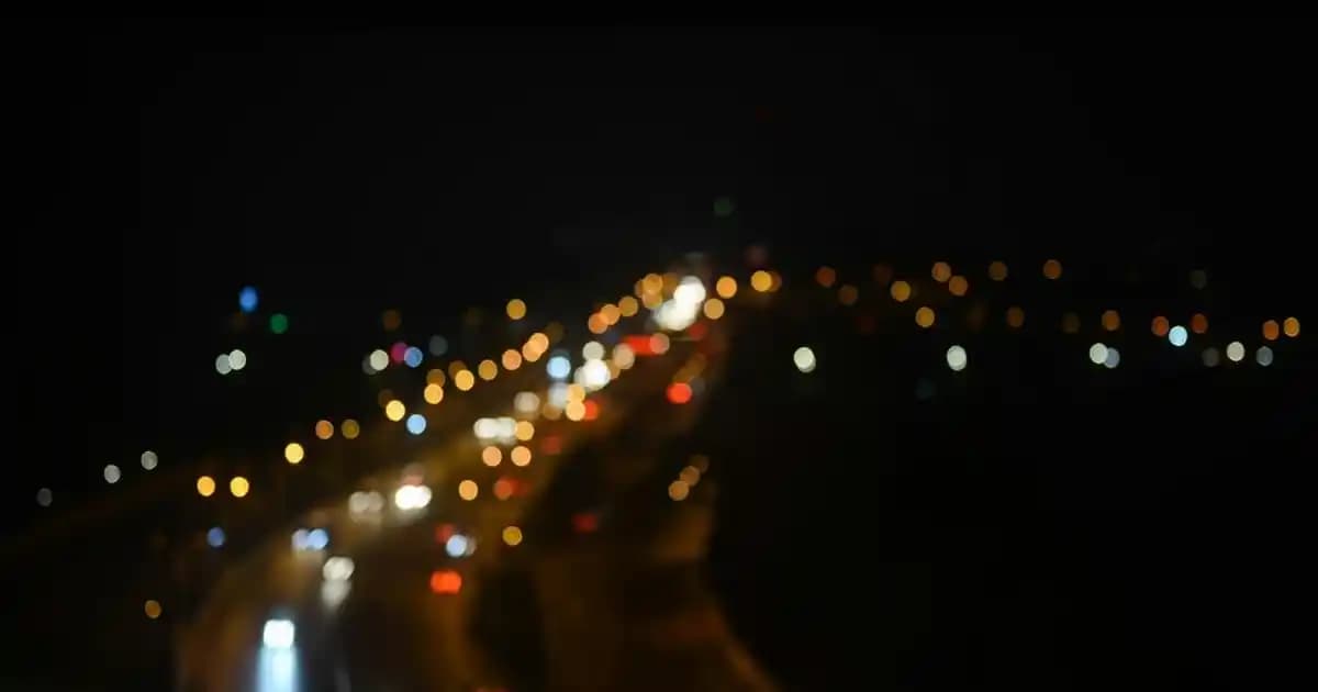 Koyun Peyniri: Aroması, Lezzeti ve Sağlık Faydalarıyla Öne Çıkan Süt Ürünü