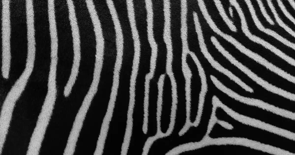 Kremalı makarna tarifleri: Pratik ve lezzetli yemekler için ideal seçenekler