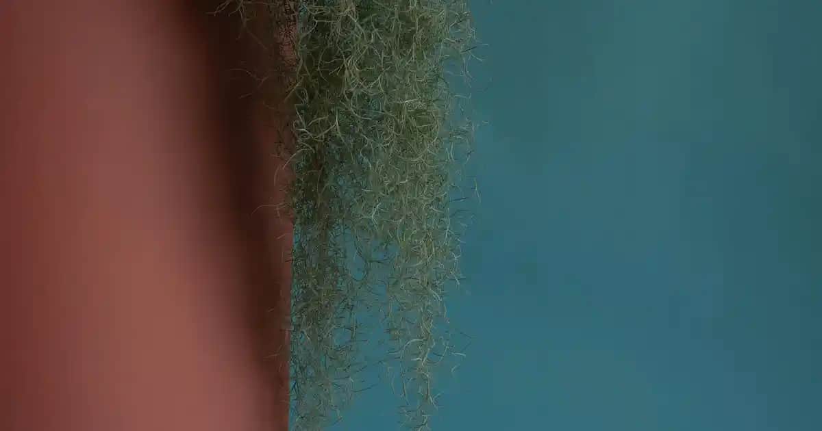 Kütahya'da Migros Süpermarketleri: Geniş Ürün Yelpazesi ve Kaliteli Hizmetler