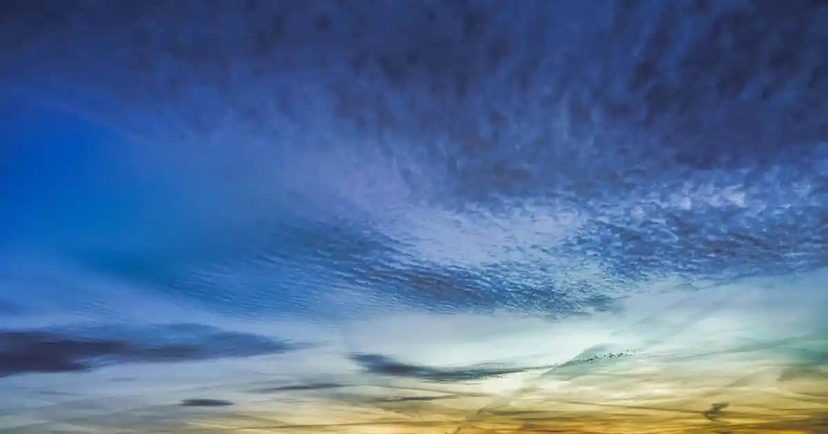 Kuzu Kapamalık Et Seçimi ve Pişirme Yöntemleri: En İyi Tarifler ve İpuçları