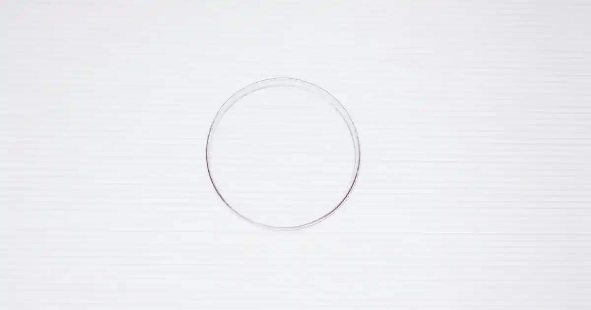 2025'te Lofçalı Arap Sabunu ile Doğal Temizlikte Devrim