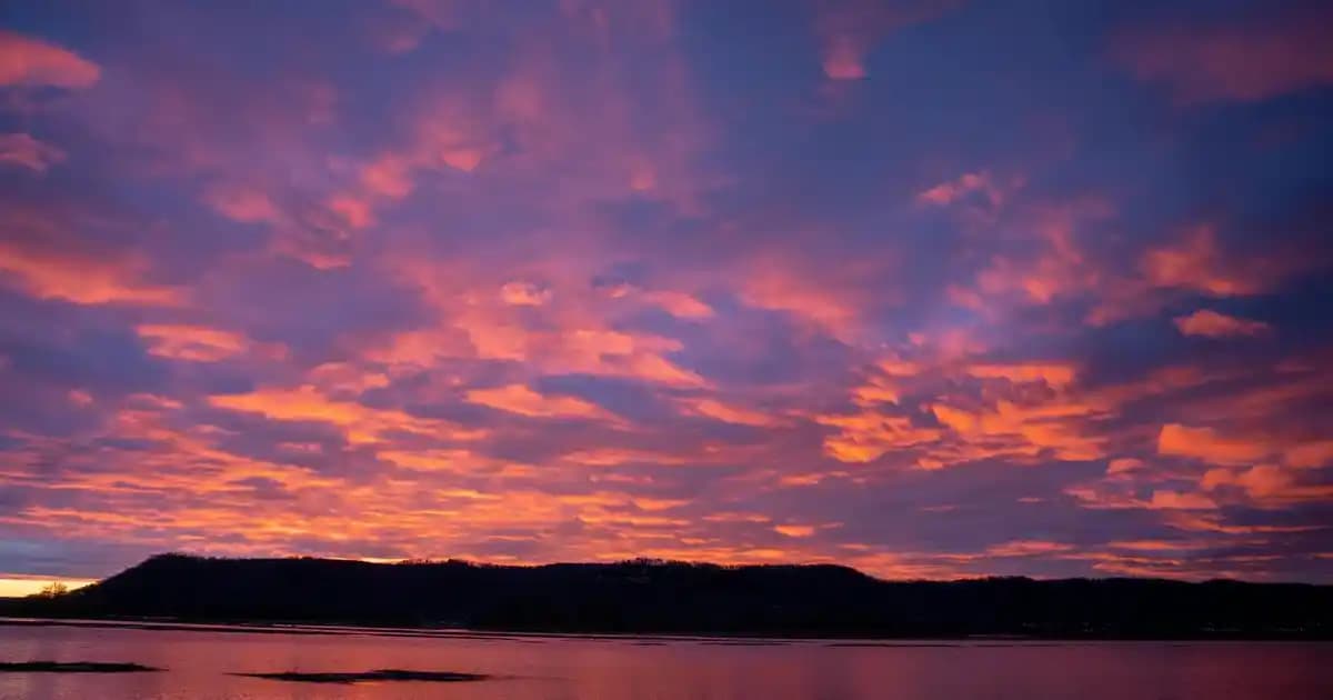 Magnezyum İçeren En Zengin Besinler ve Günlük Alım İpuçları