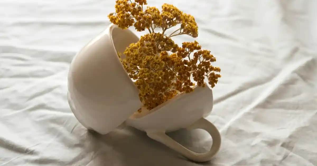 Maruderm Yağ Bazlı Temizleyici: Derinlemesine Temizlik ve Cilt Sağlığı İçin Uygun Çözüm