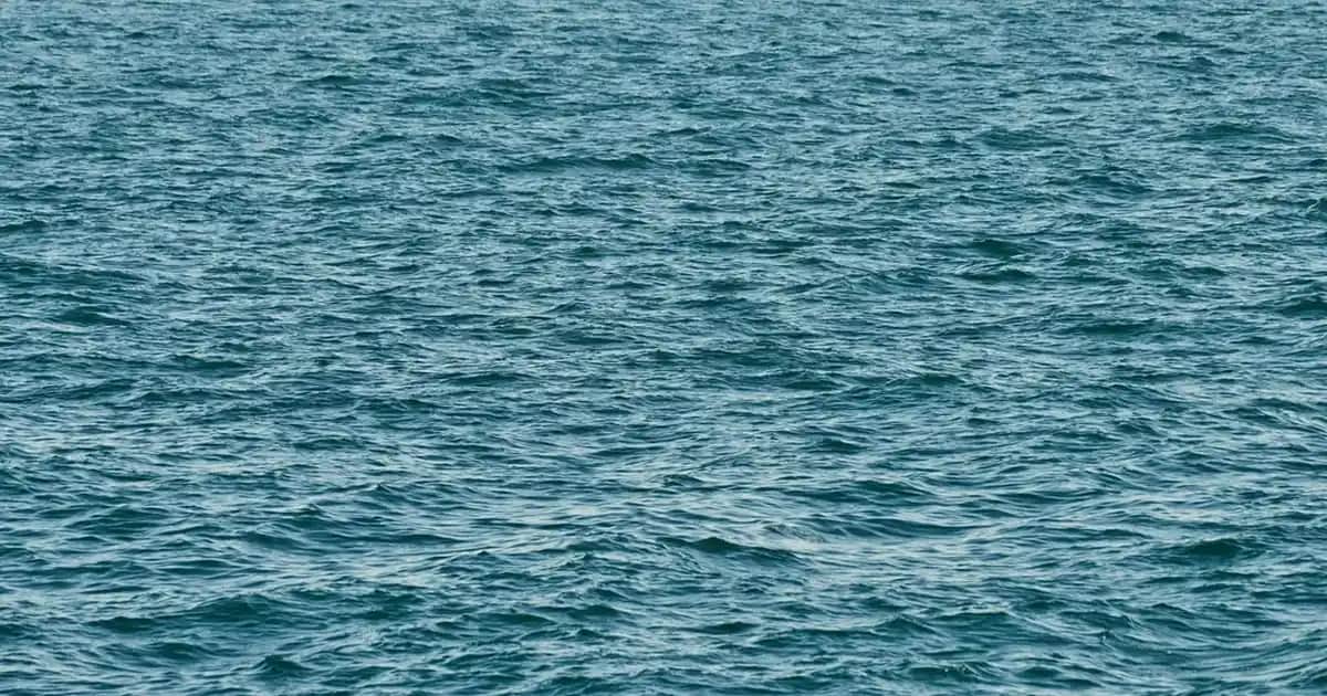 Mevlüt Magnetleri: Anlamlı ve Kalıcı Hediyelikler İçin En Güncel Seçenekler ve Trendler