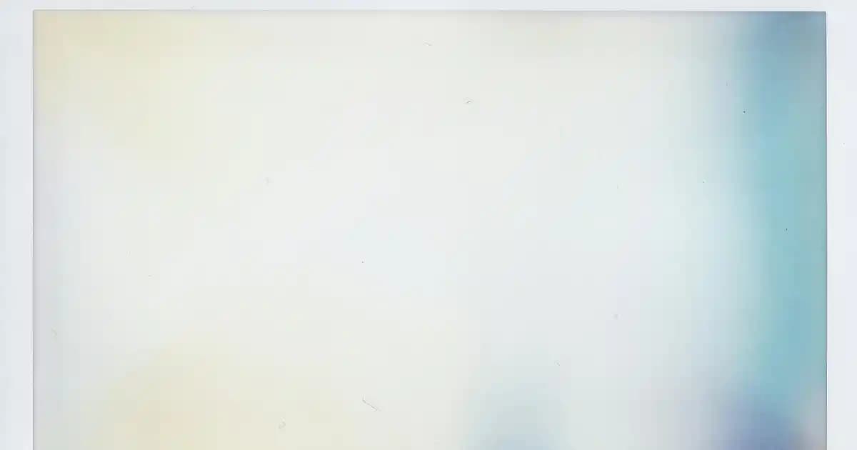 Migros Buz Poşetleri ve Mutfak Sarf Malzemeleri ile Günlük Hayatı Kolaylaştırın