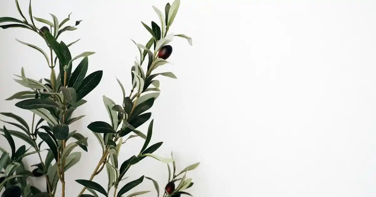 2025'te Migros Giyim Reyonlarıyla Ekonomik ve Şık Alışverişin Sırları