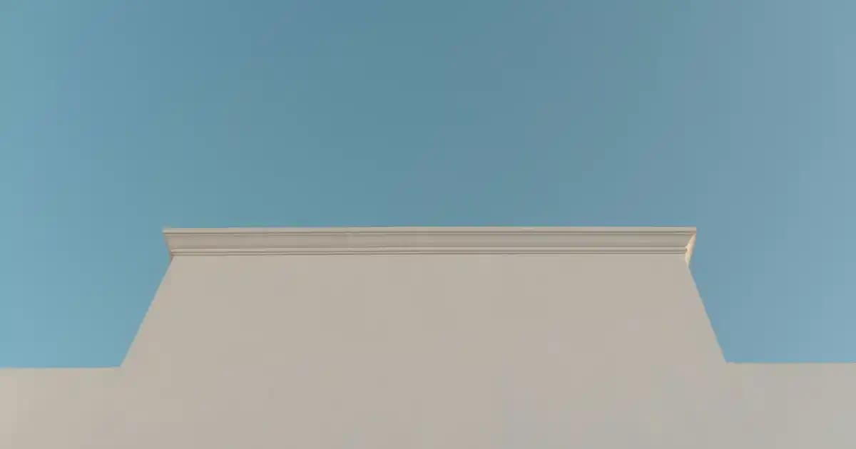 Migros Kedi Kumu Seçenekleri ve Fiyatları Hakkında Bilmeniz Gerekenler