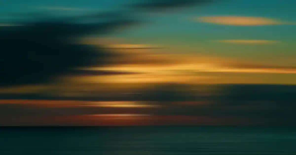 Migros Kupon Kodu Nasıl Kullanılır? Adım Adım Rehberle Tasarruf Sağlayın