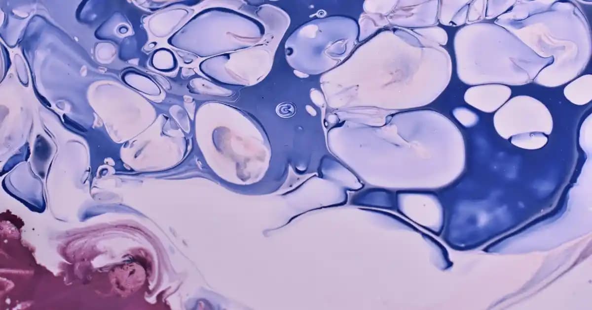 Migros Nut Master: Sağlıklı ve Ekonomik Atıştırmalıklar İçin Güvenilir Marka