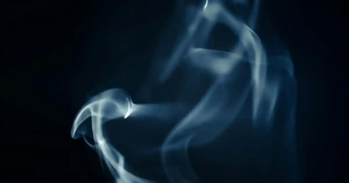 Migros Poşet Yağmurlukları: Ekonomik ve Pratik Hava Koşulu Çözüm Alternatifleri