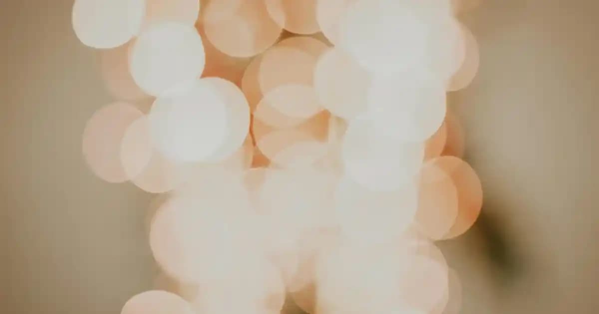 2025'te Migros'ta Komili Ayçiçek Yağı ile Tasarrufun 5 Sırrı