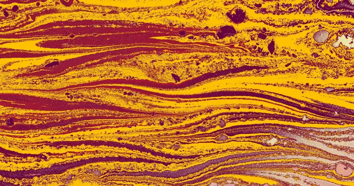 2025'te Migros'ta Altus Bulaşık Makinesi ile Ev İşlerinizi Kolaylaştırın