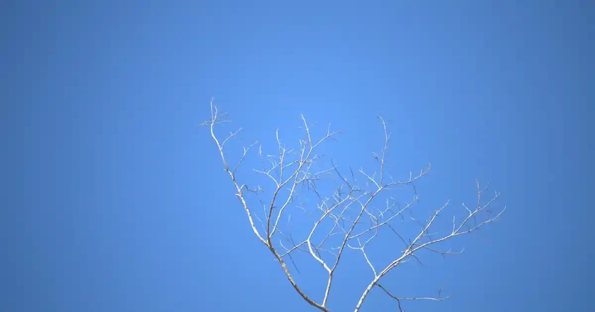 Migros'ta Beyaz Ayakkabı Boyası ile Temizlik ve Yenileme Rehberi