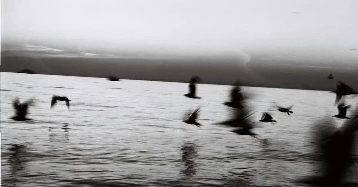 Migros'ta Buz Çantası Seçenekleri ve Alım İpuçlarıyla Serinliği Yanınızda Taşıyın