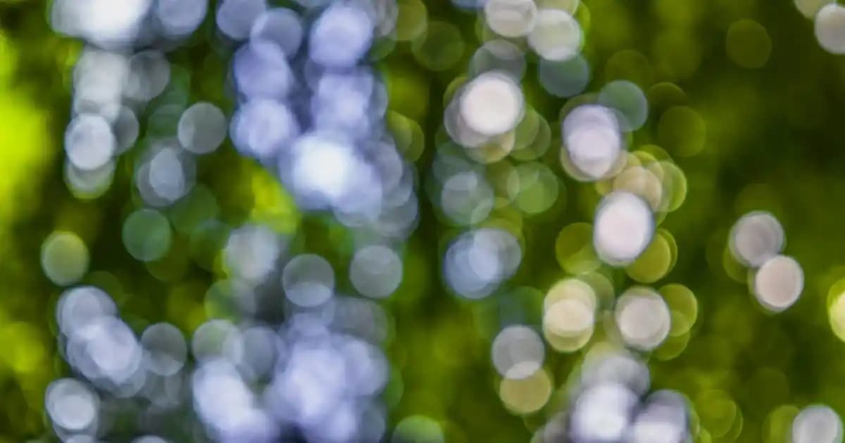 Migros'ta 2025'te Dana Kıyma Alırken Bilmeniz Gereken 5 Kritik İpucu