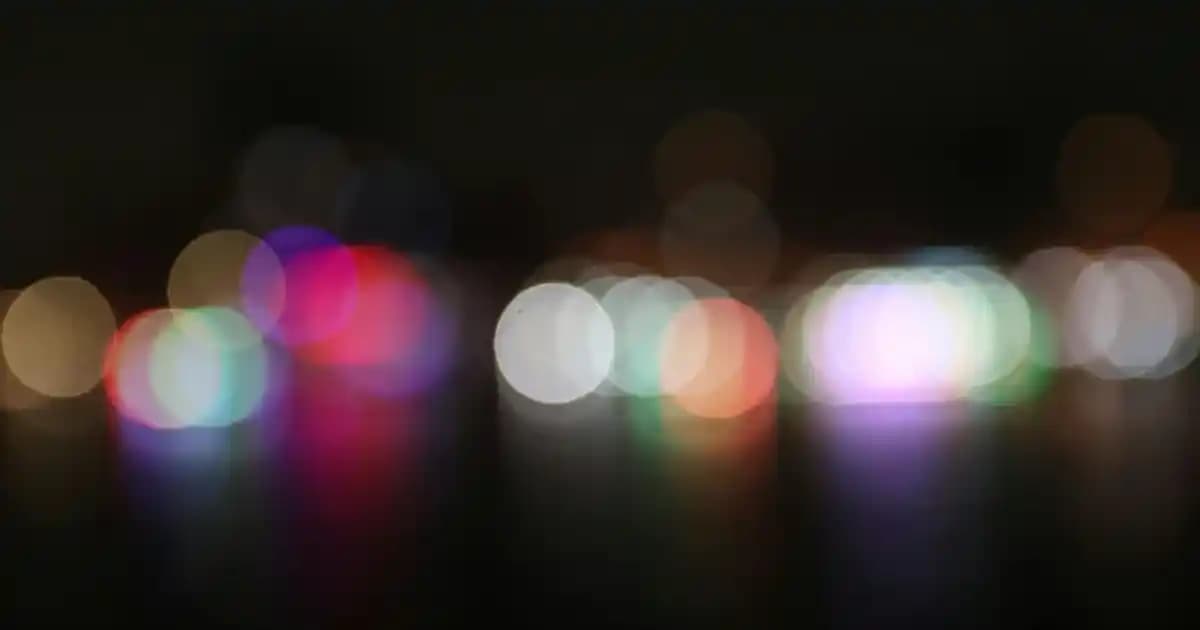 Migros'ta Elbise Kılıfı Seçenekleri ve Koruma Çözümleri Hakkında Kapsamlı Bilgi