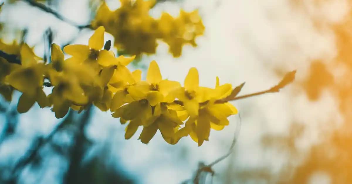 Migros'ta Fare Seçenekleri ve Teknolojik Yenilikler: Uygun Fiyatlı ve Ergonomik Çözümler