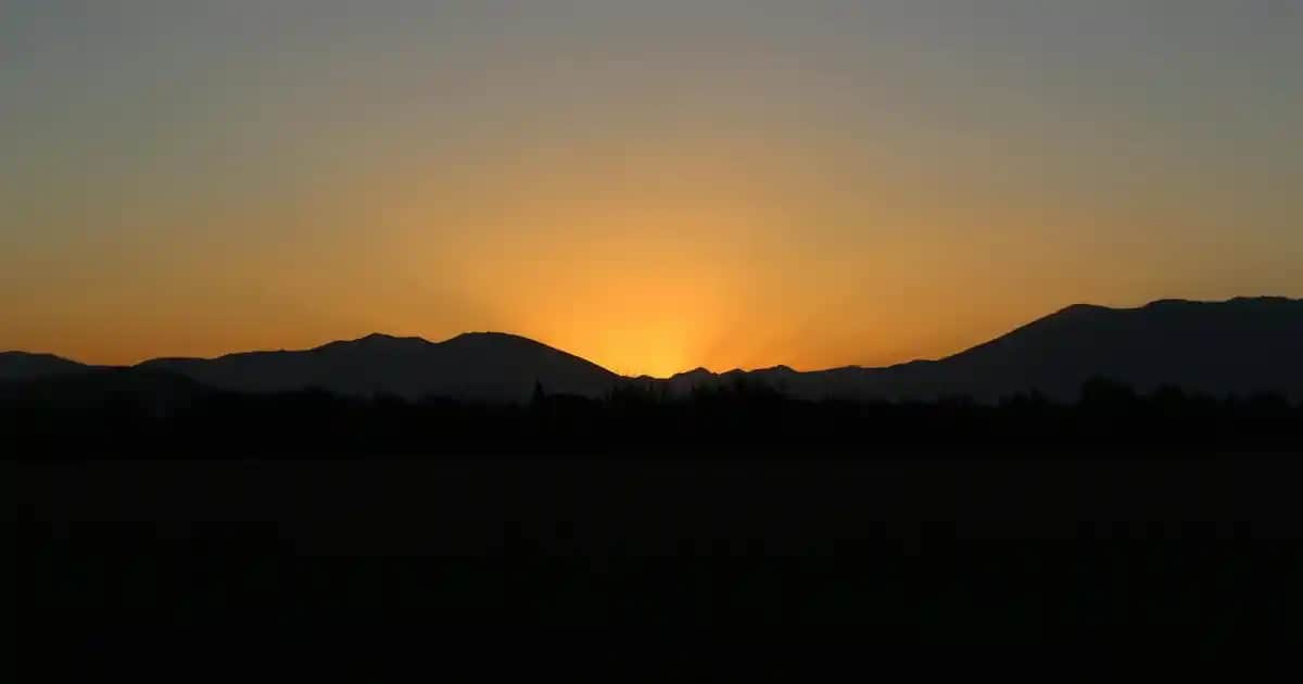 Migros'ta Finish Bulaşık Makinesi Tabletleri: Güçlü Temizlik ve Güvenilirlik İmkanı