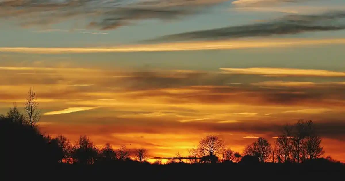 2025'te Migros Glazürleriyle Tatlılarınızı Profesyonelce Şekillendirin