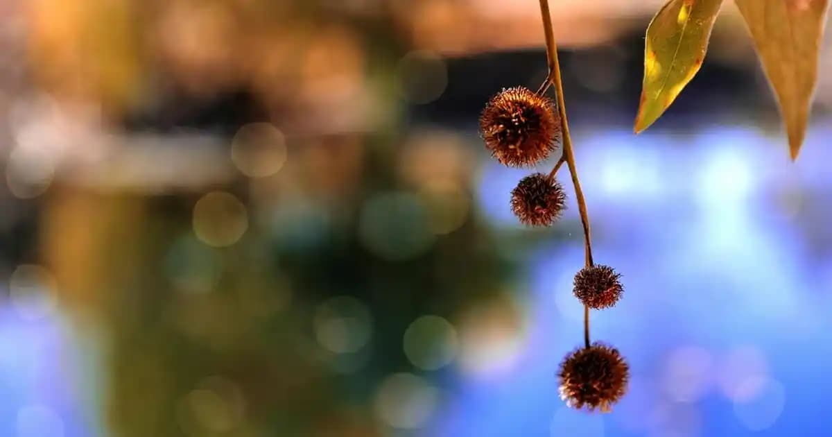 Migros'ta Gofrik Çeşitleri ve Popüler Tatlı Atıştırmalık Seçenekleri