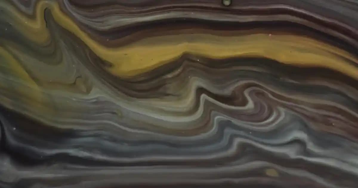 Migros'ta Kadın Terlik Seçenekleri ve Güncel Trendler Hakkında Bilgiler