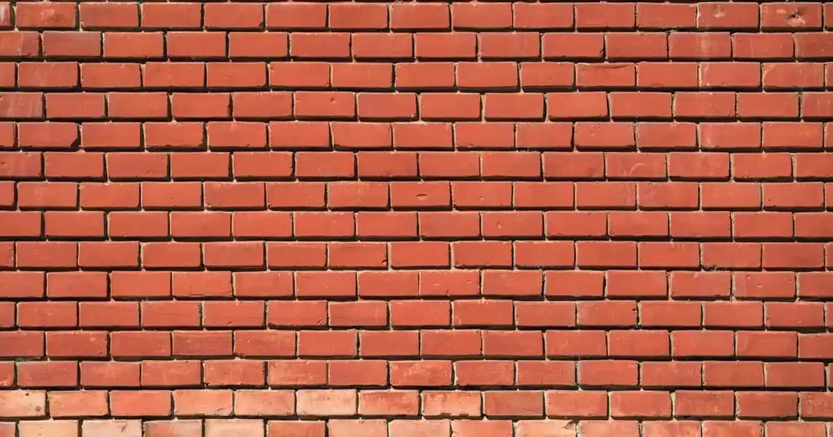 2025'te Migros'ta Kakule Seçmenin 5 Altın Kuralı ile Lezzet ve Sağlık