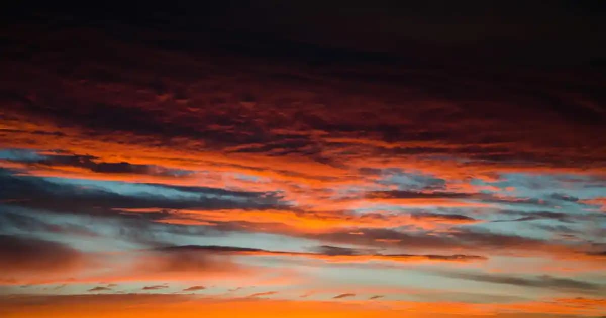 Migros'ta Kar Küresi Çeşitleri ve Yılbaşı Dekorasyonunda Kullanım İpuçları