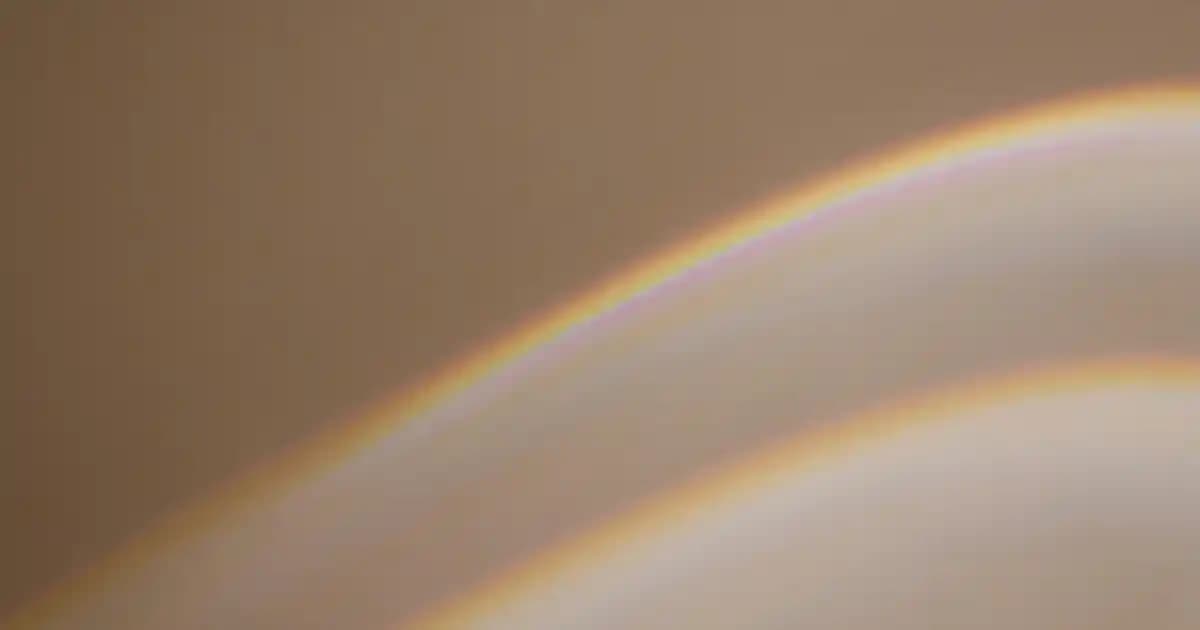 2025'te Migros'ta Karabuğday Ekmeği: Sağlığınızı Değiştirecek Doğal Seçenek