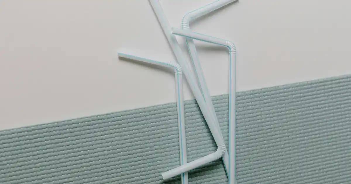 Migros'ta Köpek Mamaları: Çeşitler, Fiyatlar ve Güvenilirlik Üzerine Kapsamlı Bilgi