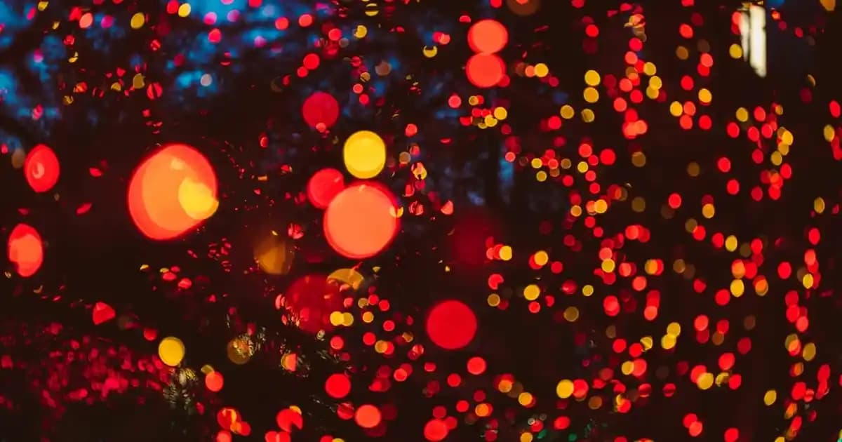 2025'te Migros'ta Köpek Tasması Seçmenin 5 Altın Kuralı