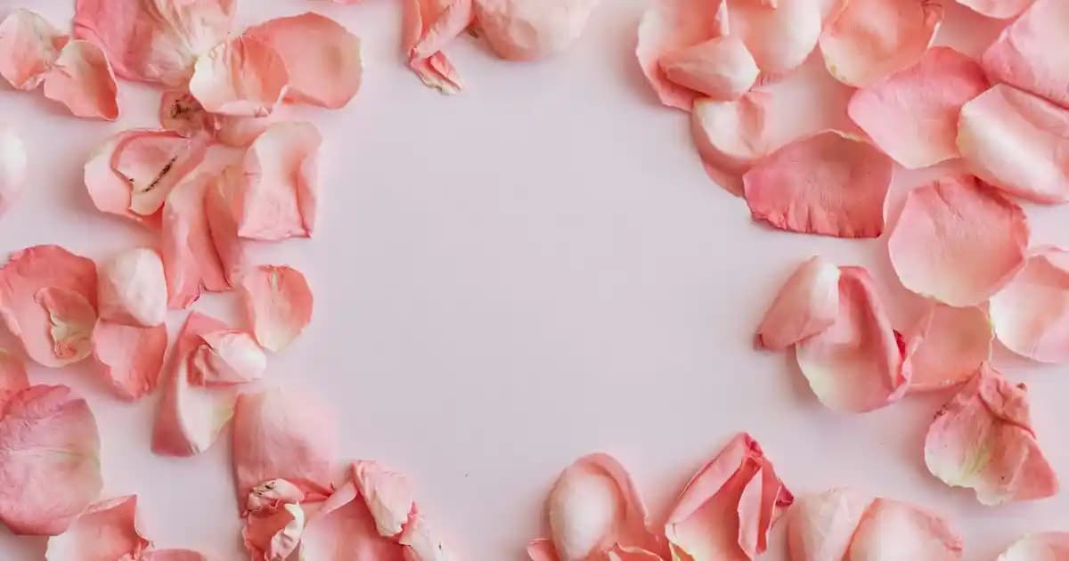 Migros'ta Közlenmiş Patlıcan Seçenekleri ve Sağlıklı Kullanım İpuçları