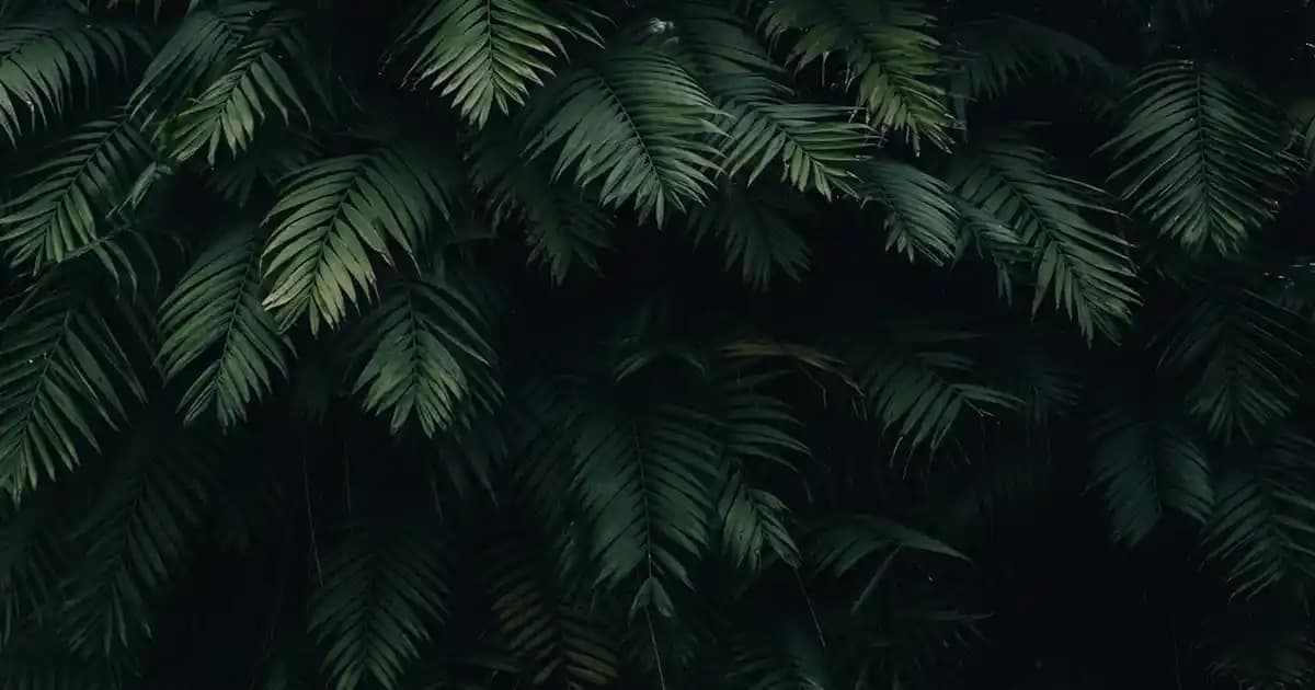 2025'te Nescafé Gold ile Migros'ta Kahve Keyfinizi Zirveye Taşıyın