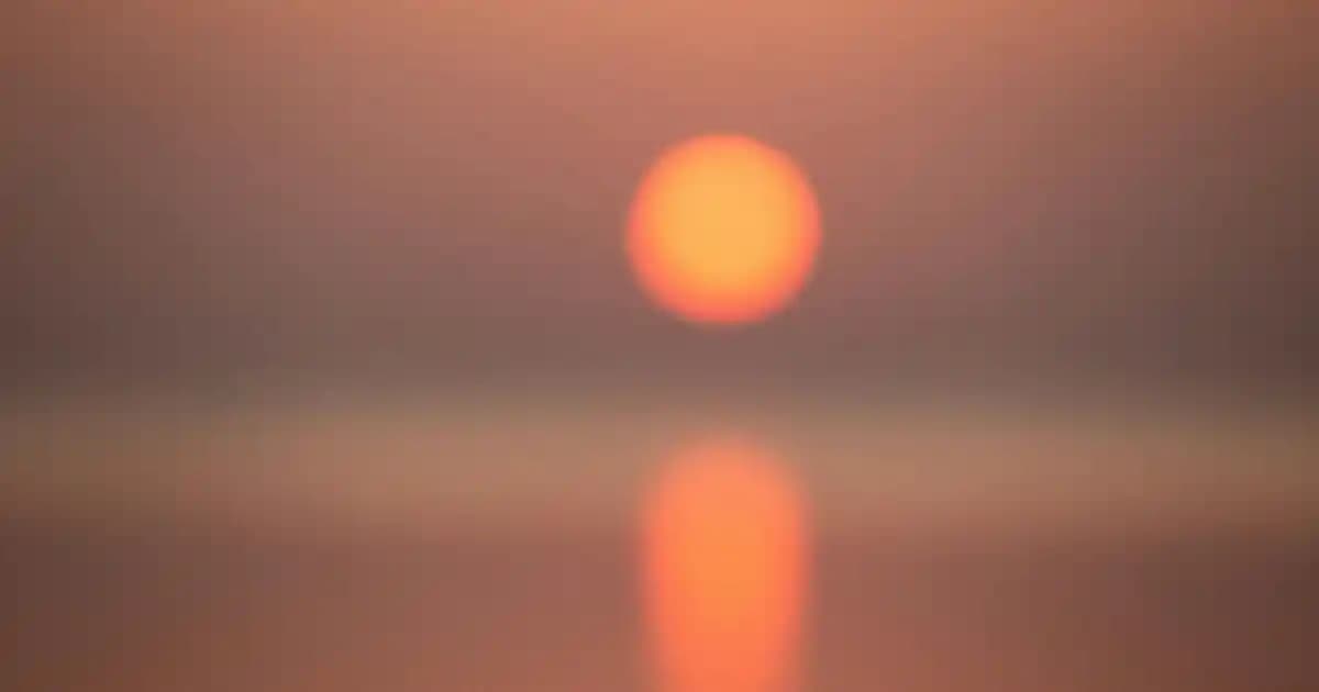 2025'te Migros'ta Nutella 750 Gram: Ekonomik ve Lezzetli Seçim