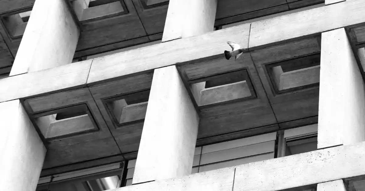 Migros'ta Porto Şarabı Seçenekleri ve Alırken Dikkat Edilmesi Gerekenler