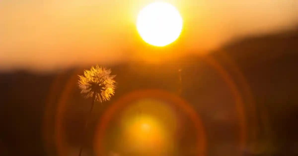 Migros'ta Sağlıklı ve Çeşitli Muffin Seçenekleriyle Tatlı Keyfi ve Pratik Tarifler