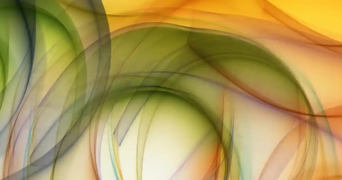 Migros'ta Yaprak Sarma Fiyatları ve Güncel Piyasa Durumu Analizi