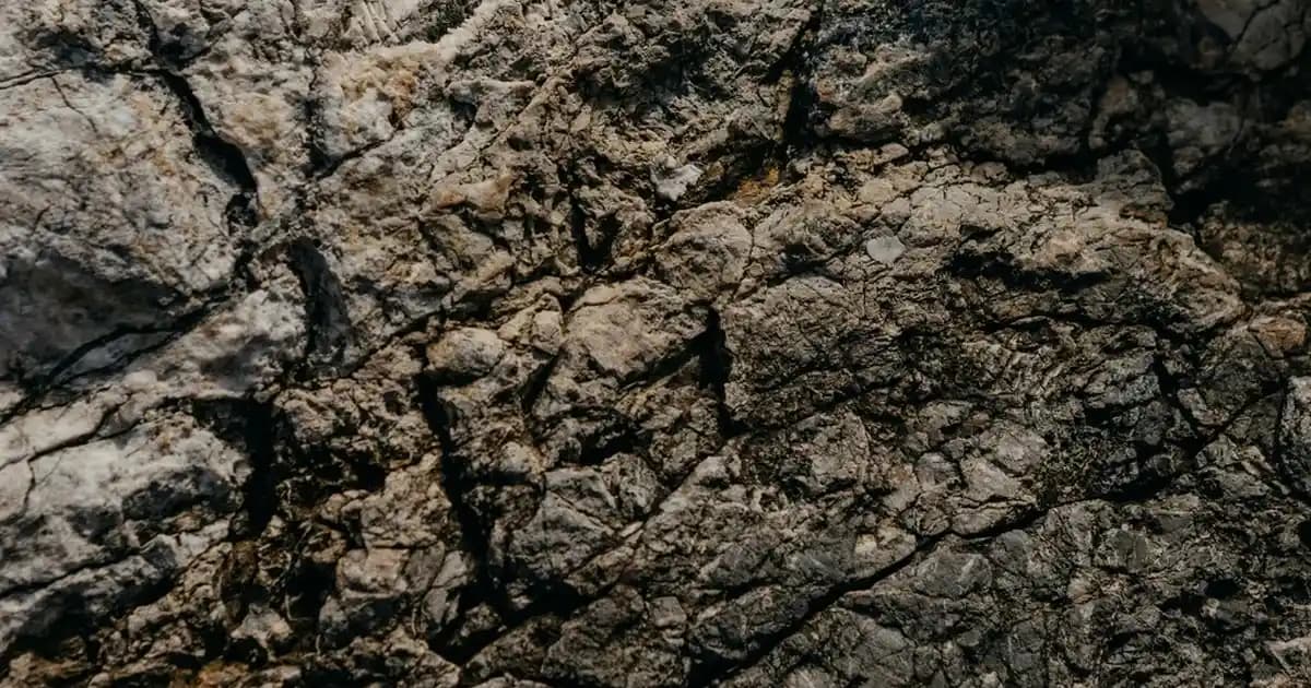 Migros'ta Yıl Boyu Taze ve Lezzetli Bamya Seçenekleri ve Pişirme İpuçları